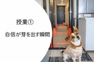 室内トレーニングで自信をつける犬ラムの様子と成長の記録