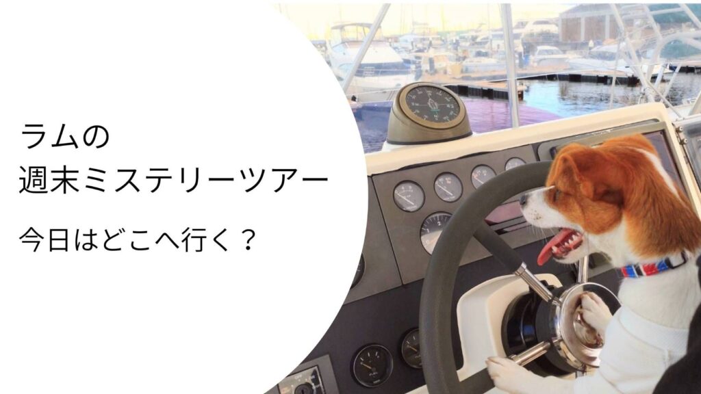 ラムがクルーザーの操縦席でハンドルを握り、これから始まるお出かけにワクワクしている様子。