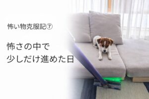 掃除機を見つめながら少し距離を取っているジャックラッセルテリアのラム。家の中の怖いものに少しずつ慣れていった頃の一枚。