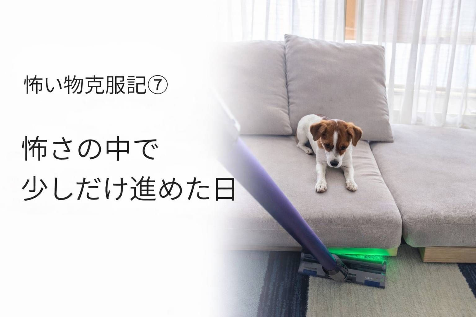 掃除機を見つめながら少し距離を取っているジャックラッセルテリアのラム。家の中の怖いものに少しずつ慣れていった頃の一枚。