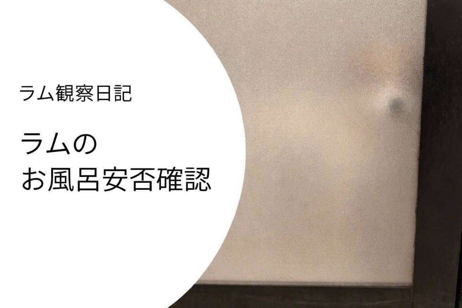 ラムがお風呂の様子を曇りガラス越しに見に来る様子。