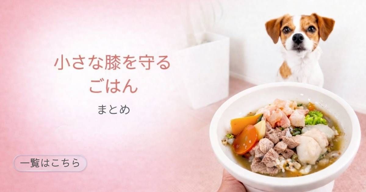 小さな膝を守るごはんまとめ｜犬の手作り食と栄養の考え方