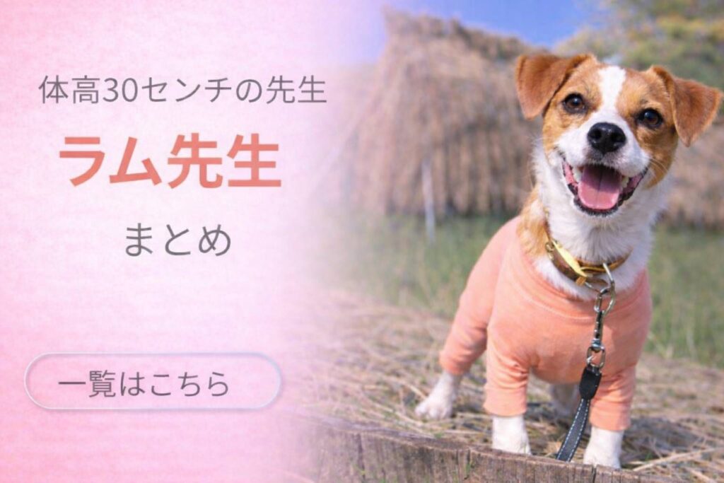 体高30センチのジャックラッセルテリア「ラム」が笑顔で立つ、ラム先生シリーズまとめのアイキャッチ画像。