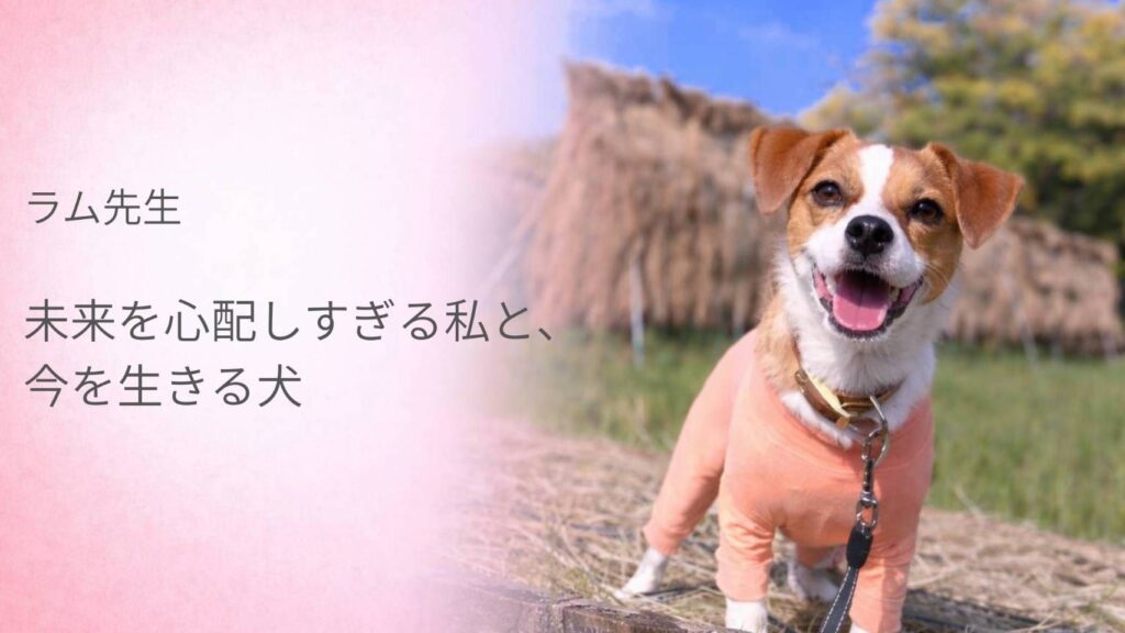 未来を心配しすぎる飼い主と今を生きる犬をテーマにしたラム先生のアイキャッチ画像。笑顔のジャックラッセルテリアが外で立っている様子。