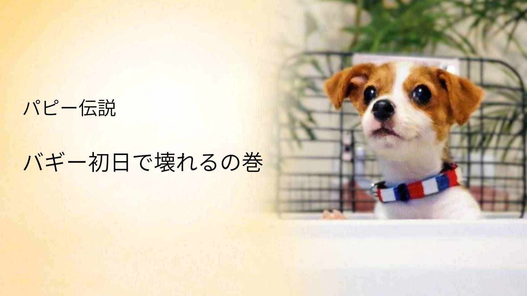 パピー期のエピソードをテーマにしたパピー伝説のアイキャッチ。ジャックラッセルテリアの子犬ラムが顔を出している様子。