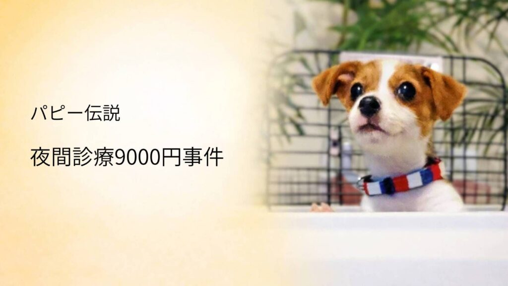 夜間診療をテーマにしたパピー伝説のアイキャッチ。ジャックラッセルテリアの子犬が不安そうに前を見つめる様子。