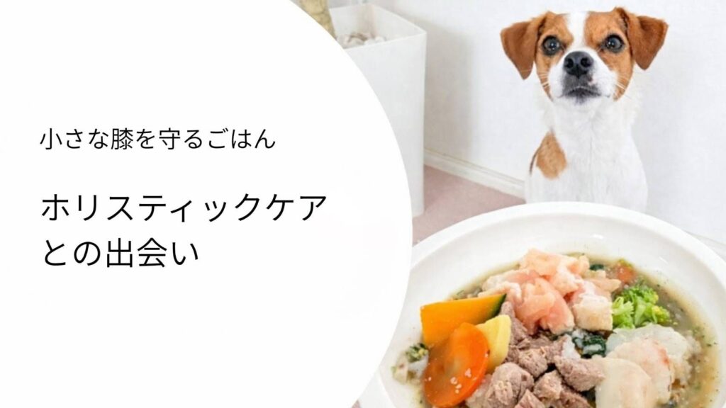 小さな膝を守るごはんシリーズ｜ホリスティックケアとの出会い｜学びと手作り食の始まり