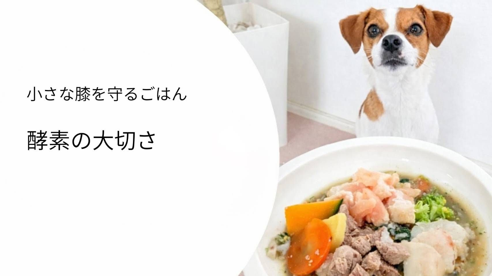 酵素の大切さ｜消化や吸収を助ける栄養と手作り食での取り入れ方