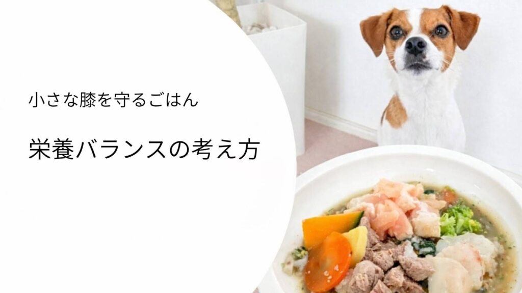 犬の栄養バランスの考え方｜体重だけでなく運動量や生活に合わせた食事設計