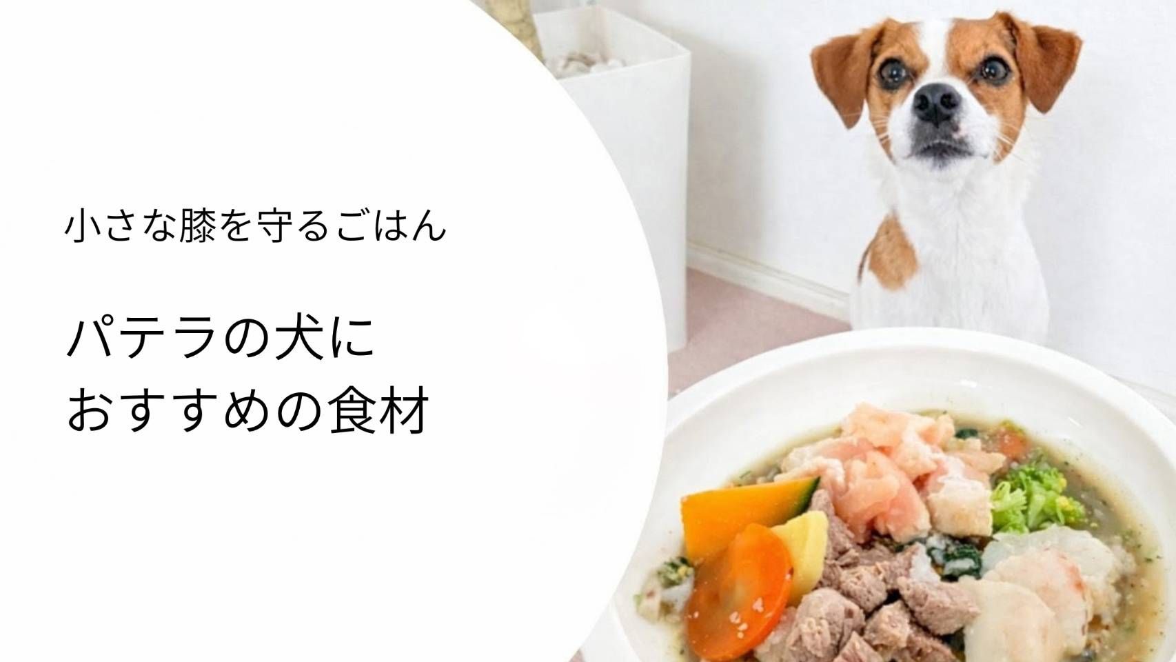 パテラの犬におすすめの食材｜関節を支える栄養と手作り食の具体例