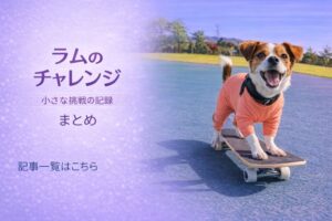 ラムがスケボーに乗っている様子｜ラムのチャレンジまとめアイキャッチ
