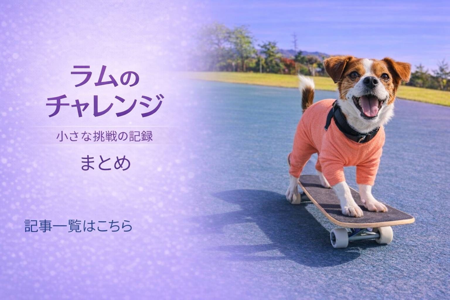 ラムがスケボーに乗っている様子｜ラムのチャレンジまとめアイキャッチ