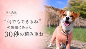 笑顔のジャックラッセルテリアのラムと「何でもできるねの裏側にあった30秒の積み重ね」をイメージしたアイキャッチ