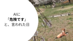 桜の木の下で伏せをしながら、穏やかな表情を見せるジャックラッセルテリアのラム。