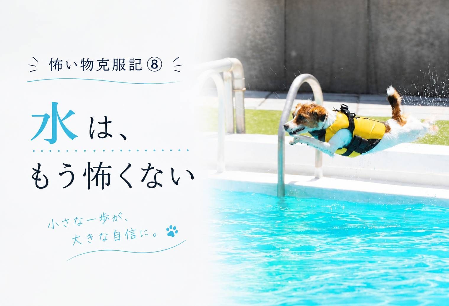 ドッグプールへ飛び込むジャックラッセルテリア。水嫌いを克服し、自らプールへ飛び込むようになったラムの姿。