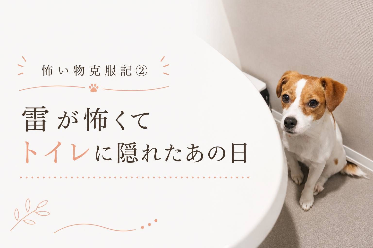 雷の音が怖くてトイレに隠れているジャックラッセルテリアのラムの様子