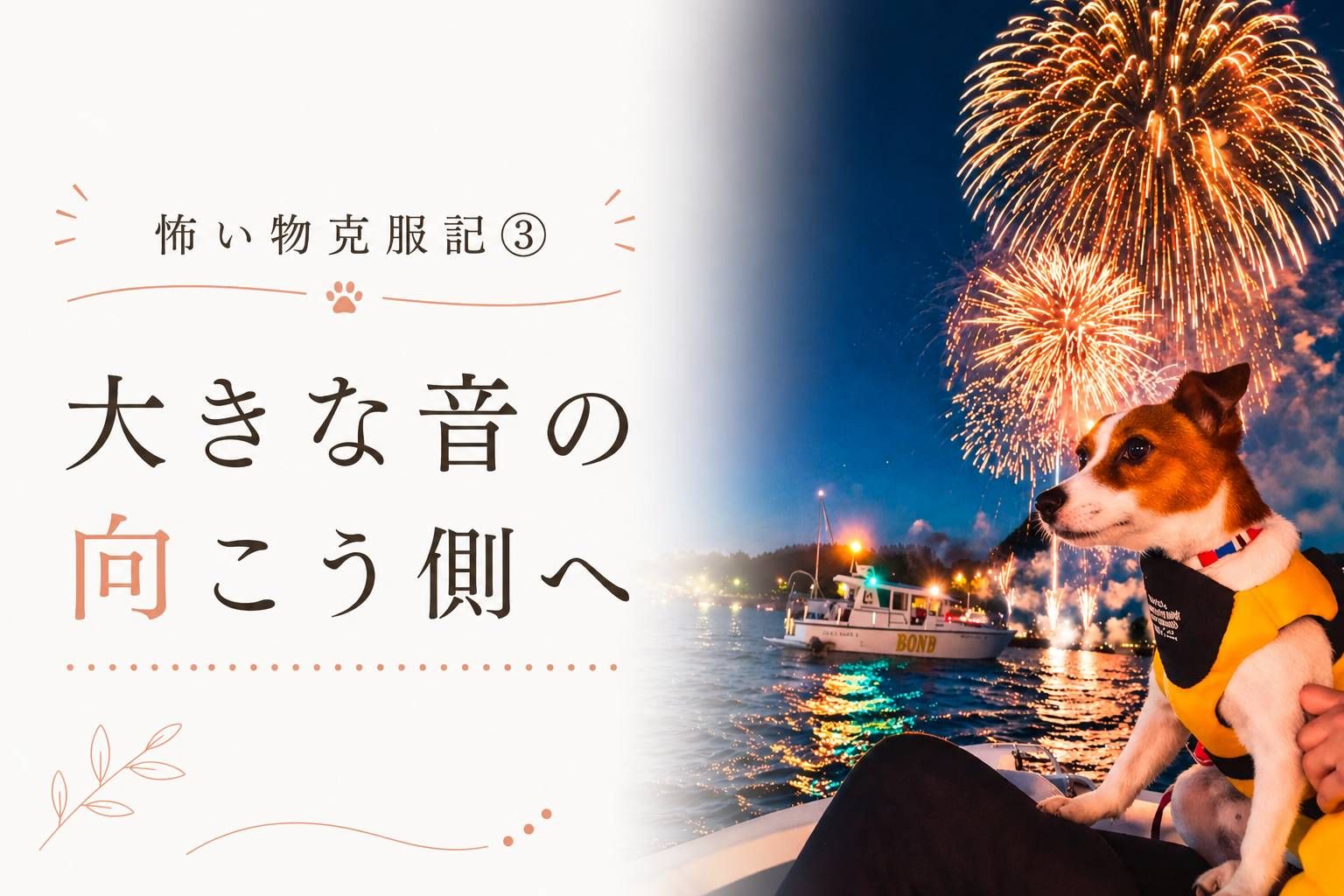 花火の大きな音に少し驚きながらも、落ち着いて見つめるジャックラッセルテリアのラム