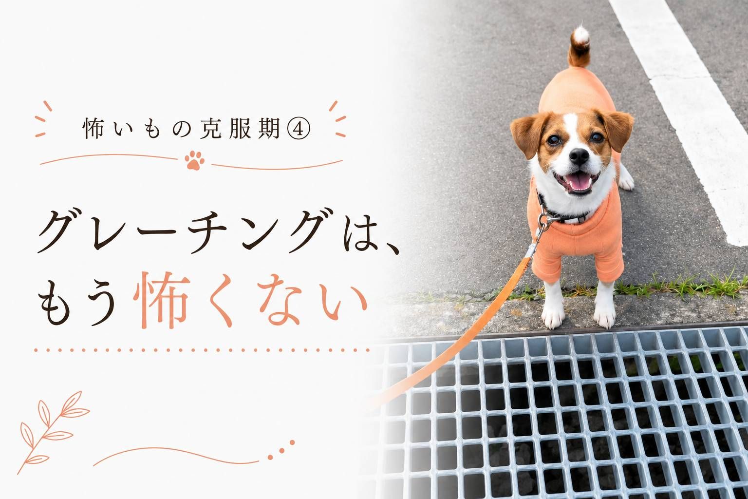 グレーチングの上で立ち止まる小型犬のラムと克服後の様子