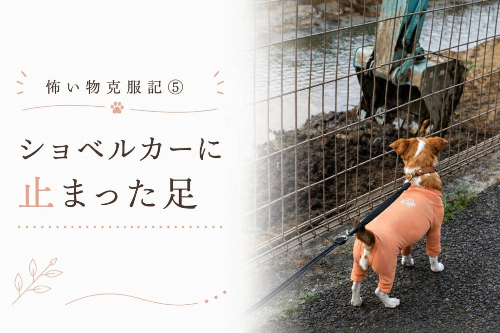工事現場のショベルカーを見つめながら立ち止まるジャックラッセルテリアのラム