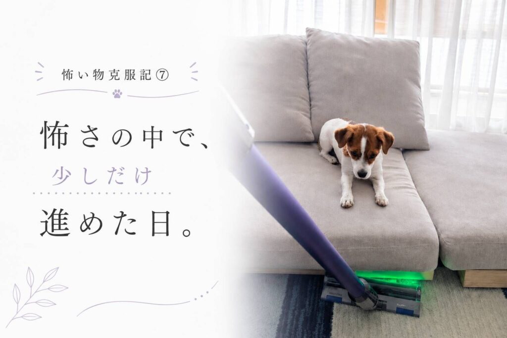 掃除機を見つめながら少し距離を取っているジャックラッセルテリアのラム。家の中の怖いものに少しずつ慣れていった頃の一枚。