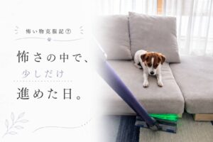 掃除機を見つめながら少し距離を取っているジャックラッセルテリアのラム。家の中の怖いものに少しずつ慣れていった頃の一枚。
