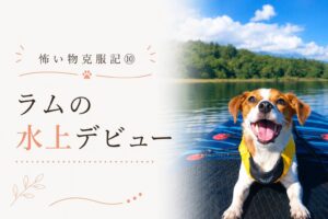 SUPの上で笑顔を見せるジャックラッセルテリアのラム