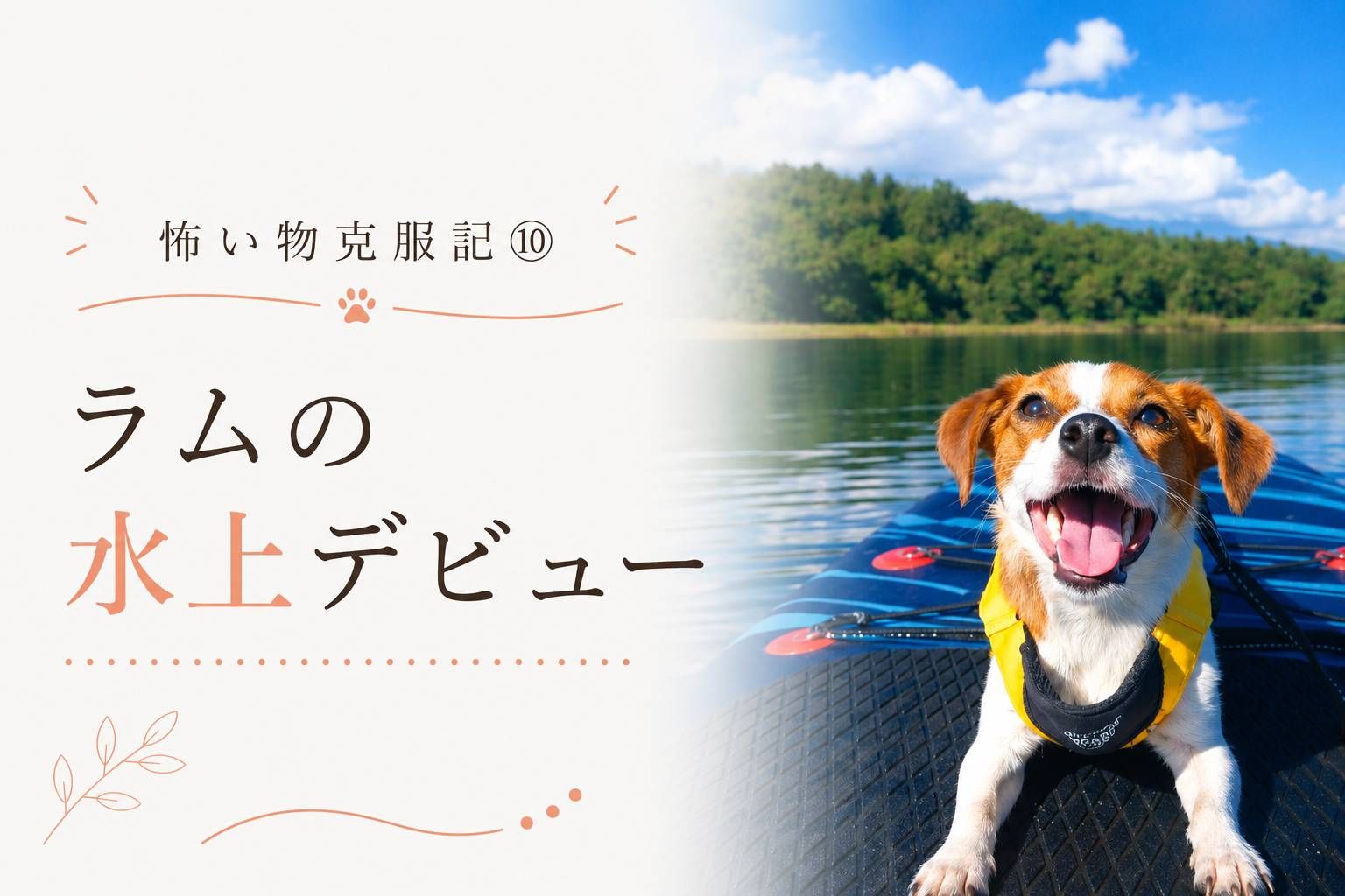 SUPの上で笑顔を見せるジャックラッセルテリアのラム