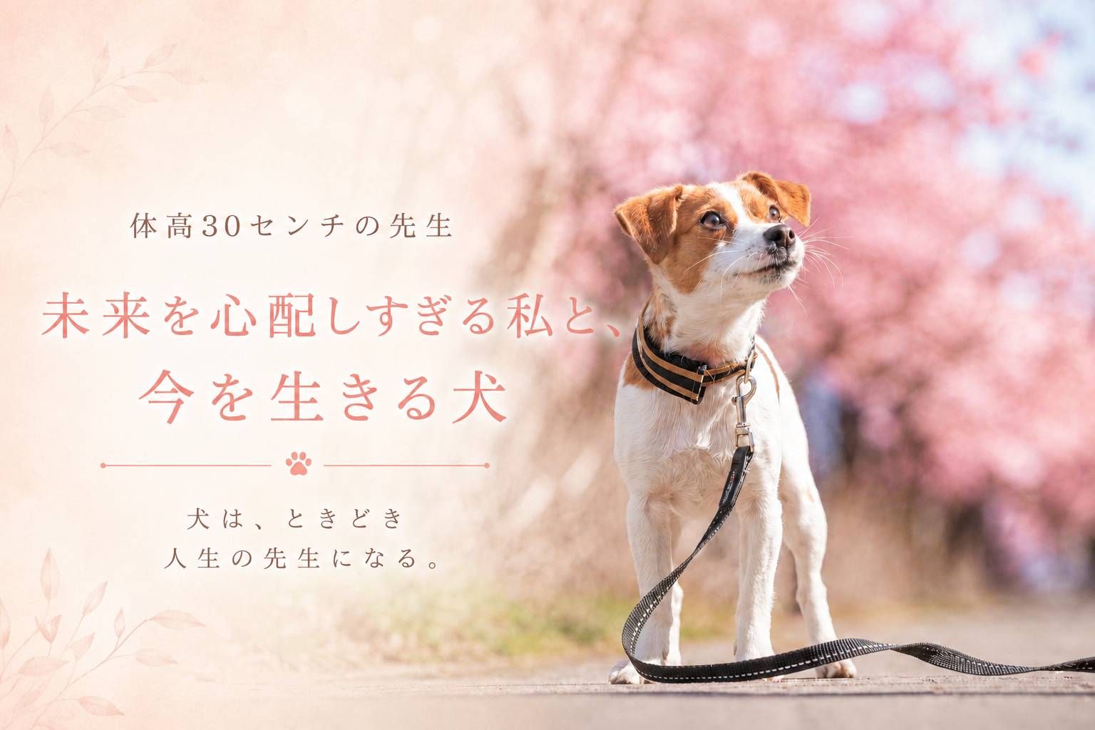 未来を心配しすぎる飼い主と今を生きる犬をテーマにしたラム先生のアイキャッチ画像。笑顔のジャックラッセルテリアが外で立っている様子。