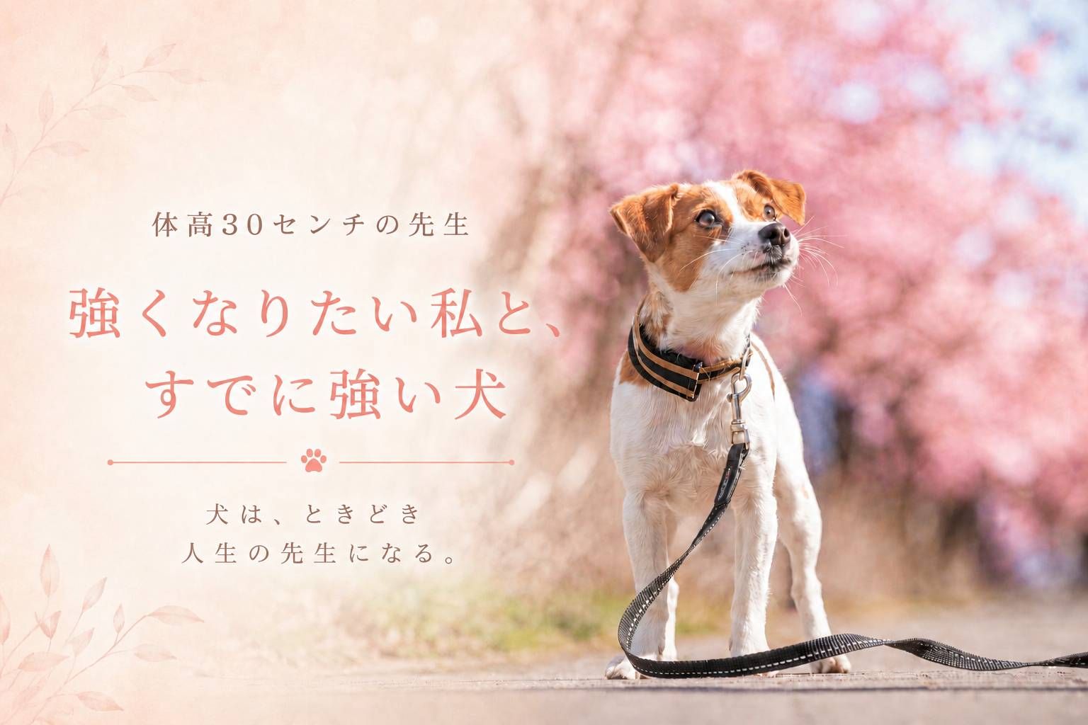 強くなりたい飼い主とすでに強い犬をテーマにしたラム先生の記事のアイキャッチ。笑顔のジャックラッセルテリアが屋外で立っている様子。