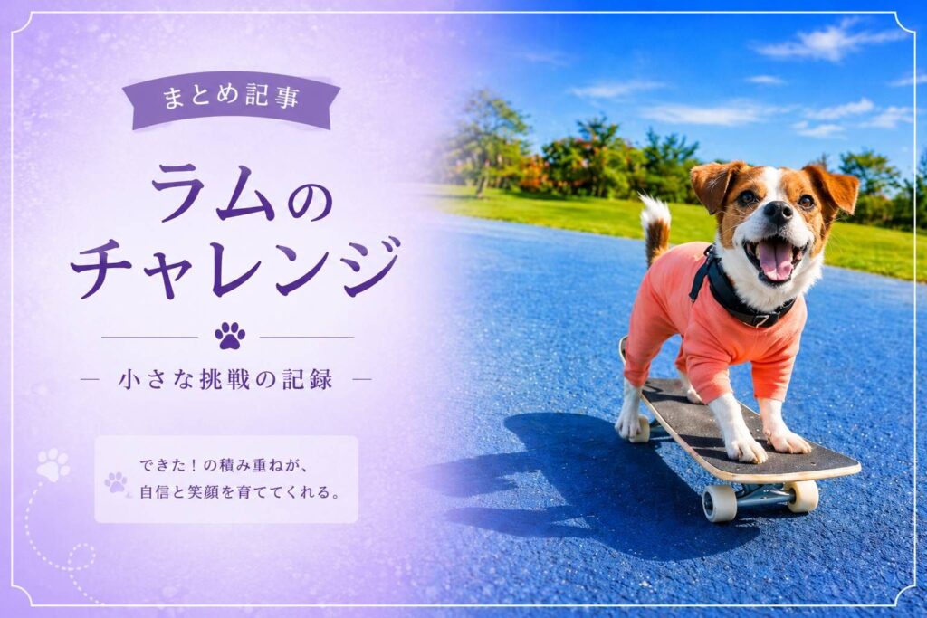 ラムがスケボーに乗っている様子｜ラムのチャレンジまとめアイキャッチ