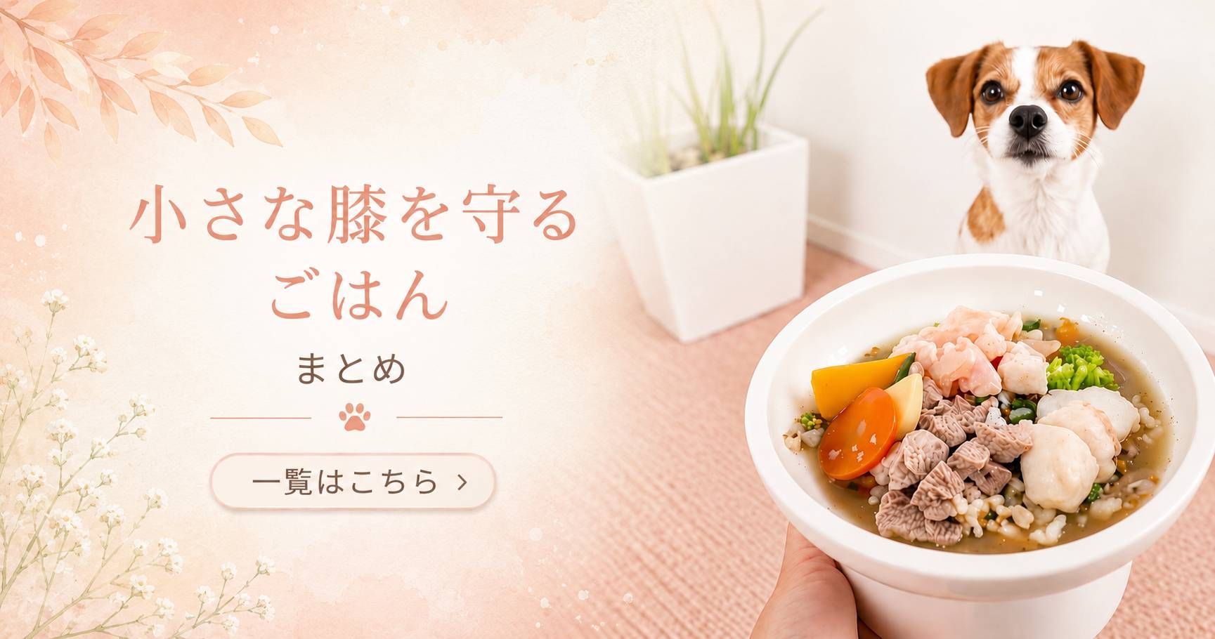 小さな膝を守るごはんまとめ｜犬の手作り食と栄養の考え方