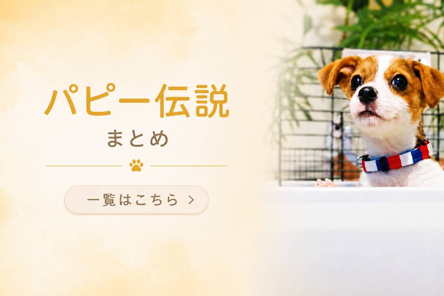 パピー期のラムがまっすぐ前を見つめる様子を使った「パピー伝説まとめ」アイキャッチ
