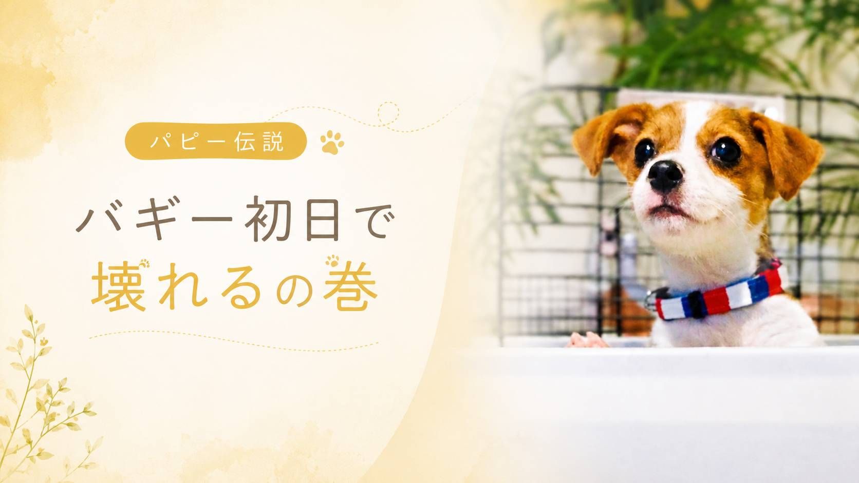 パピー期のエピソードをテーマにしたパピー伝説のアイキャッチ。ジャックラッセルテリアの子犬ラムが顔を出している様子。