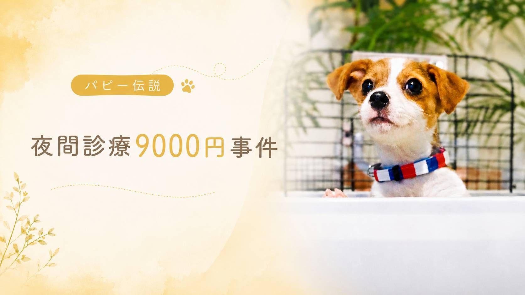 夜間診療をテーマにしたパピー伝説のアイキャッチ。ジャックラッセルテリアの子犬が不安そうに前を見つめる様子。