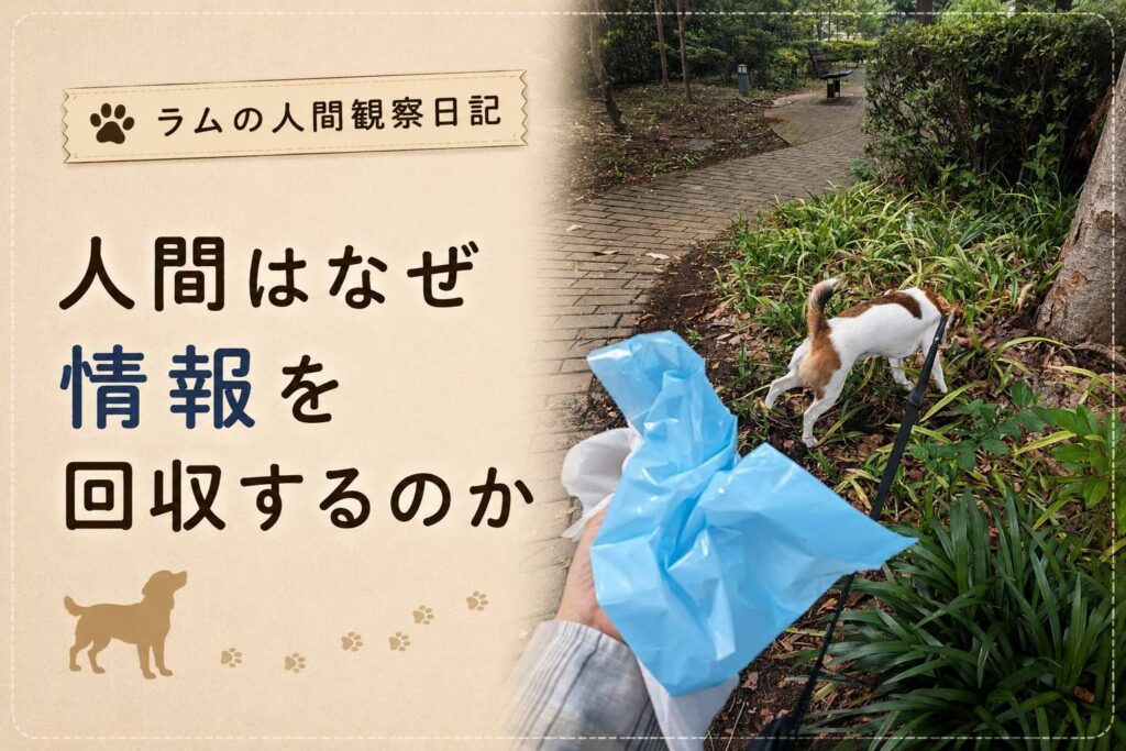 散歩中に情報を残すラムと、回収袋を持つ飼い主の様子