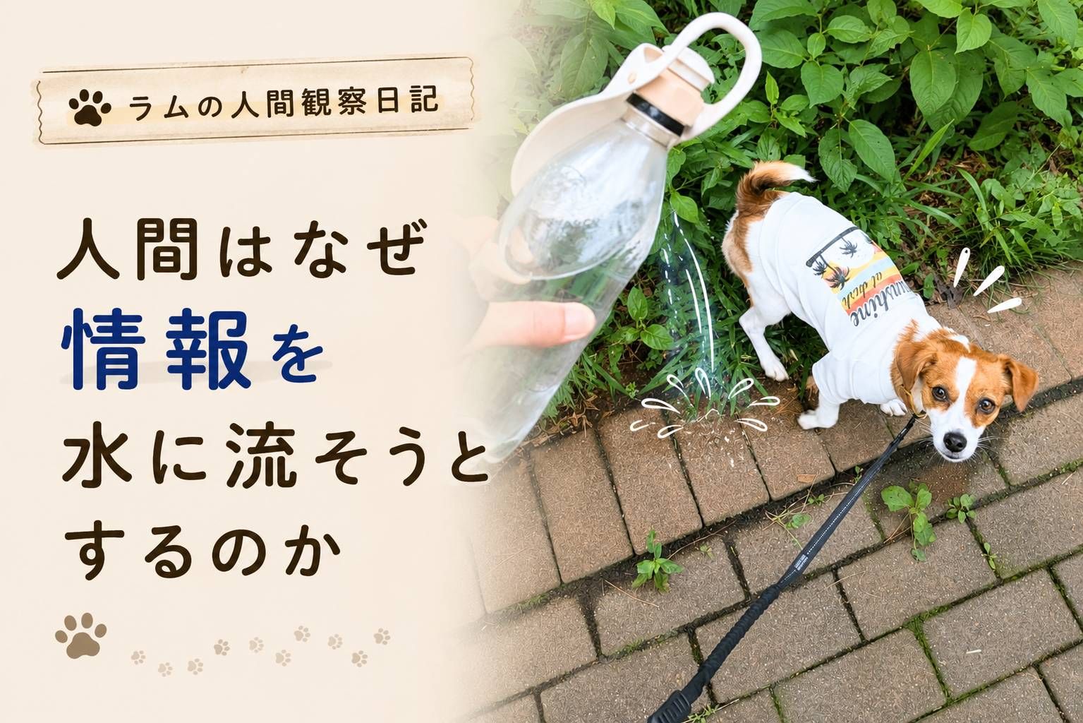 ラムが散歩中に情報を残した場所の前で、飼い主が水入りボトルを持ちながら振り返る様子