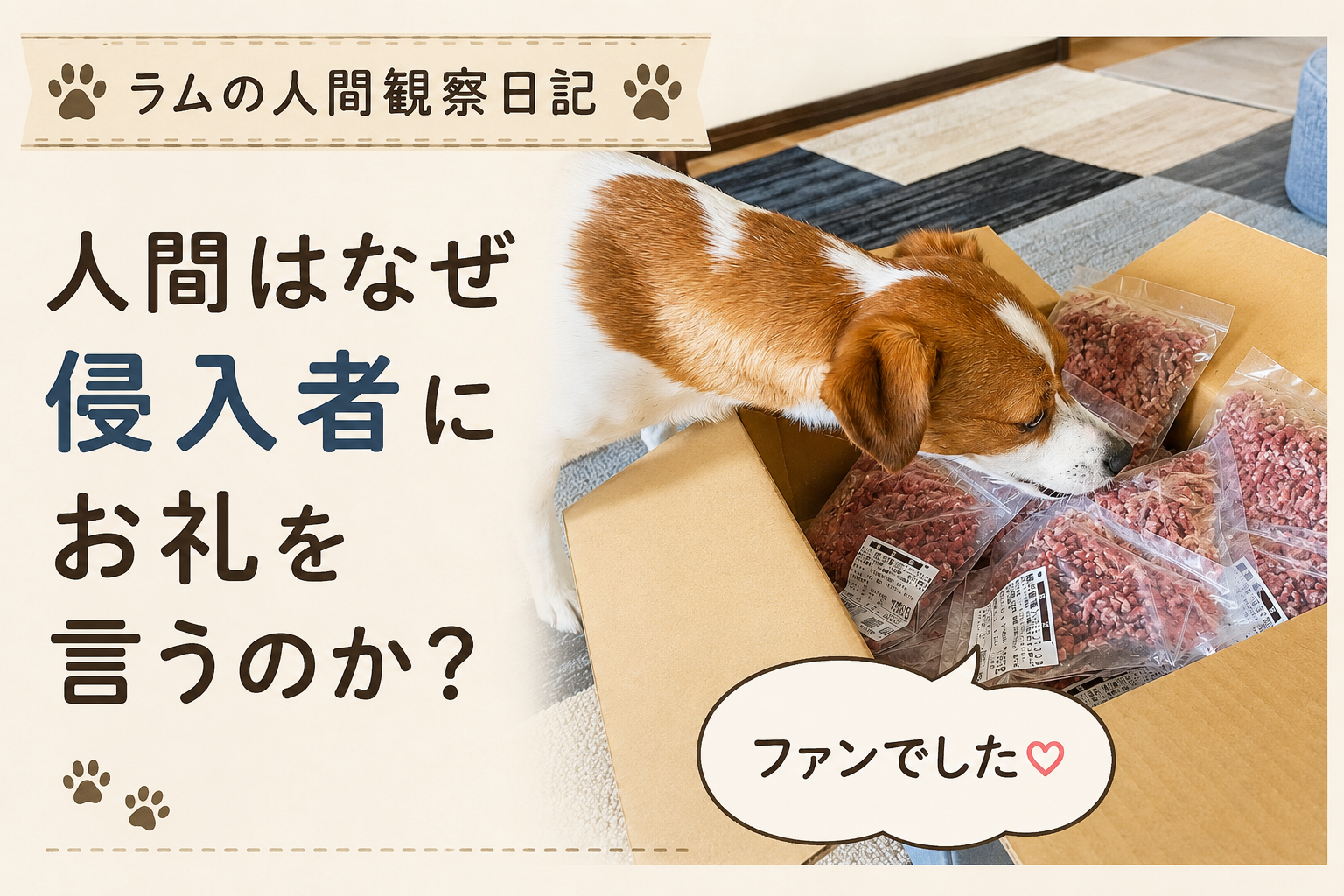 段ボールいっぱいの馬肉を真剣な表情で確認するジャックラッセルテリアのラム。侵入者だと思っていた配達員の正体に気づいた瞬間を表現したアイキャッチ。
